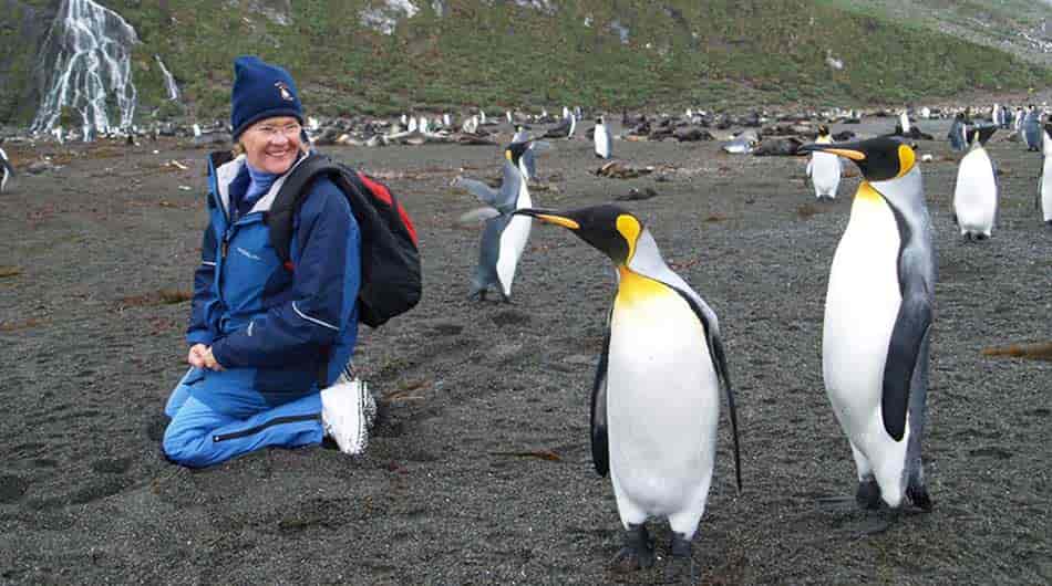People and King Penguins on an Antarctica expedition