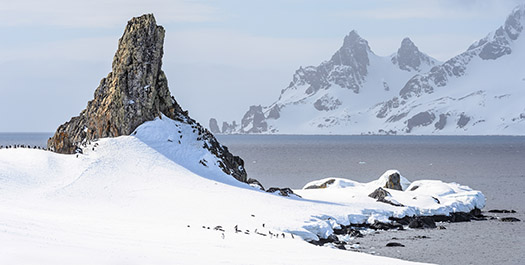 South Shetland Islands & Antarctica - Days 5 to 9