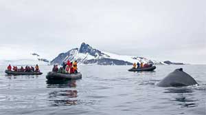 Ocean Adventurer