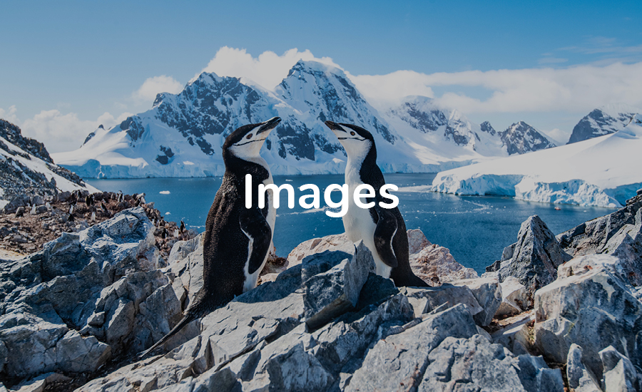  MDB_Antarctica_Images_900x550 
