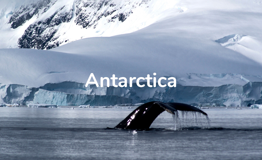  MDB_Z_Antarctica900x550 