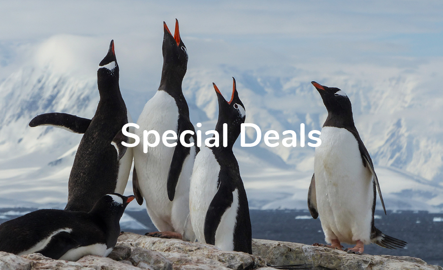  MDB_Z_Special%20Deals_900x5504 