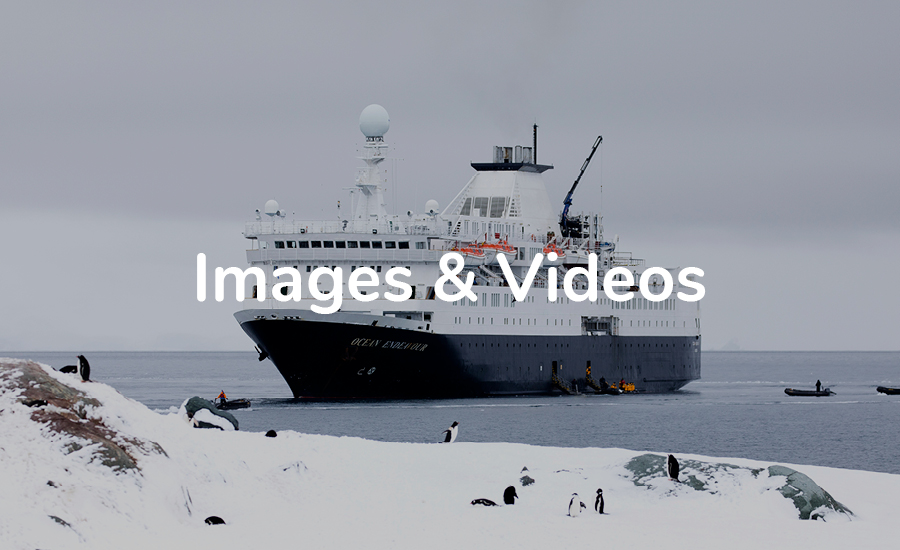  MDB_OE_Images_Videos_900x550 