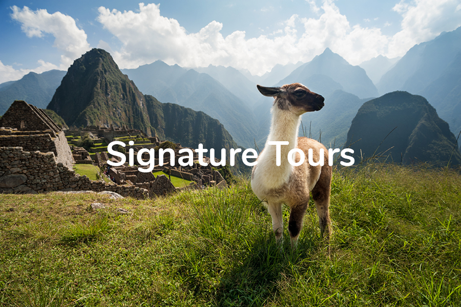  MDB_Signature%20Tours_900x600 