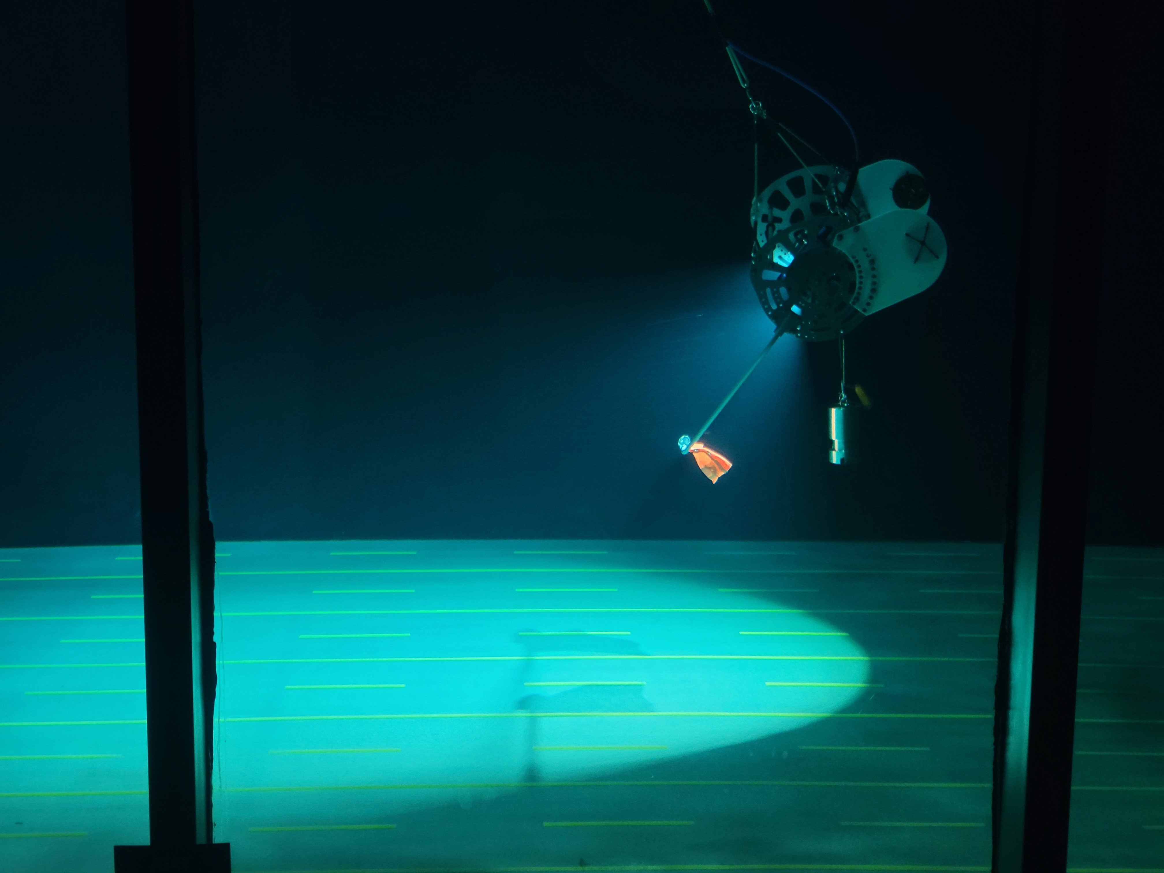 Press Release: Chimu Adventures’ charter launches the first-ever Antarctic expedition to find the elusive colossal squid