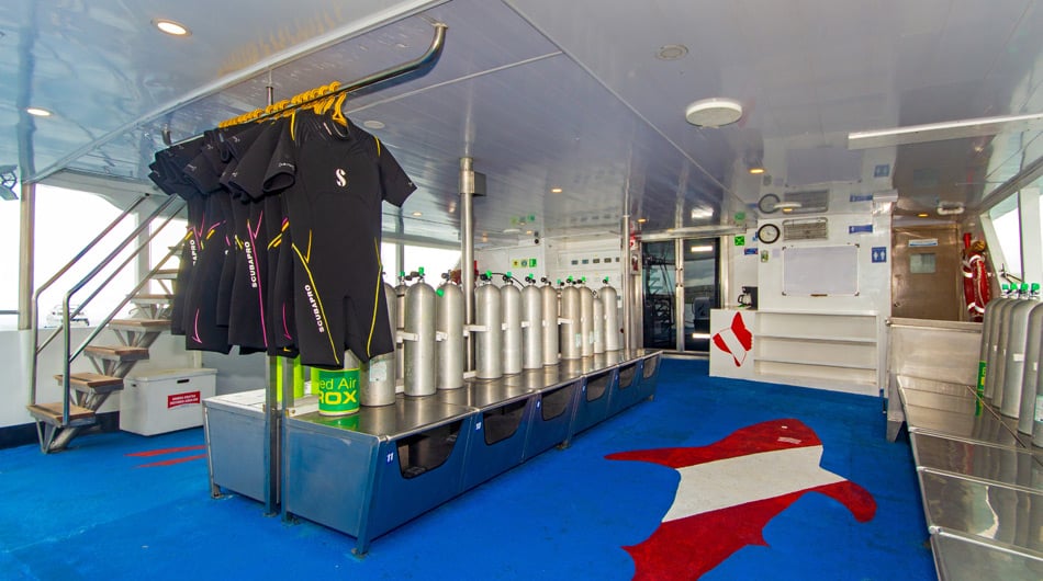 Diving Deck onboard Calipso Galapagos vessel Diving Deck onboard Calipso Galapagos vessel