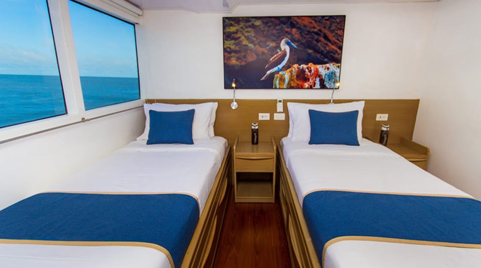 Twin Cabin - Calipso Galapagos Ship Twin Cabin - Calipso Galapagos Ship