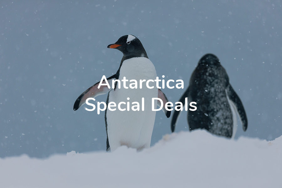 Antarctica Special Deals