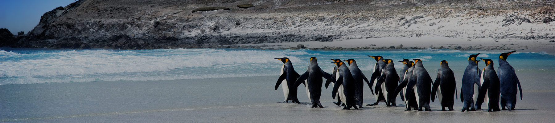 FALKLAND ISLANDS