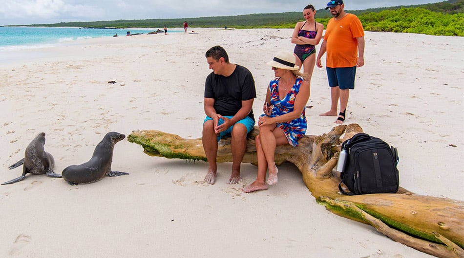 Monserrat Galapagos Cruise Ship - guest experience Monserrat Galapagos Cruise Ship - guest experience