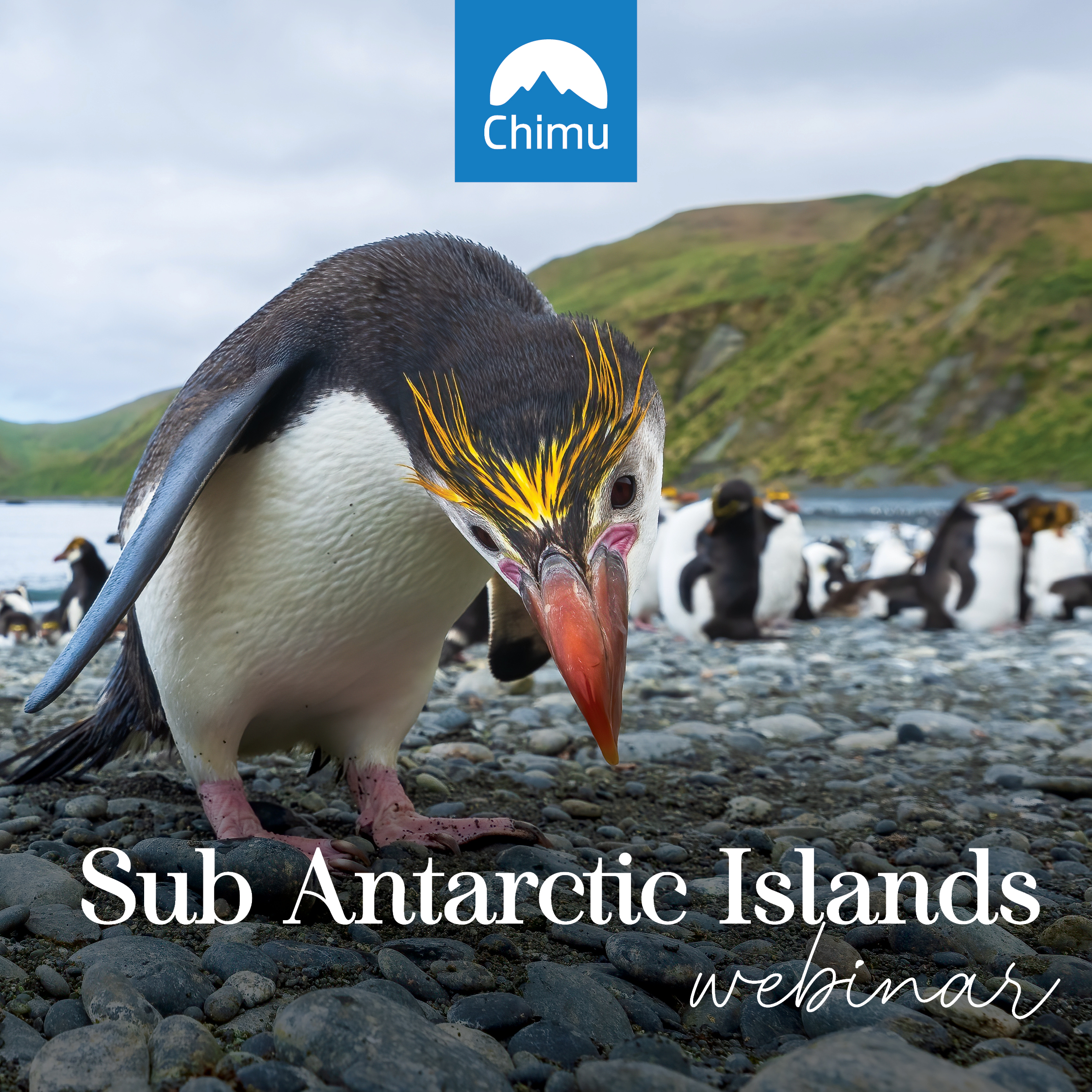 Sub ANtarctic Islands webinar
