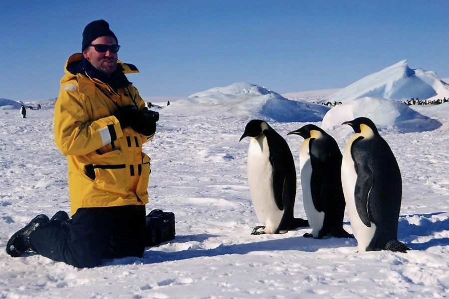 Penguins_resized Penguins_resized