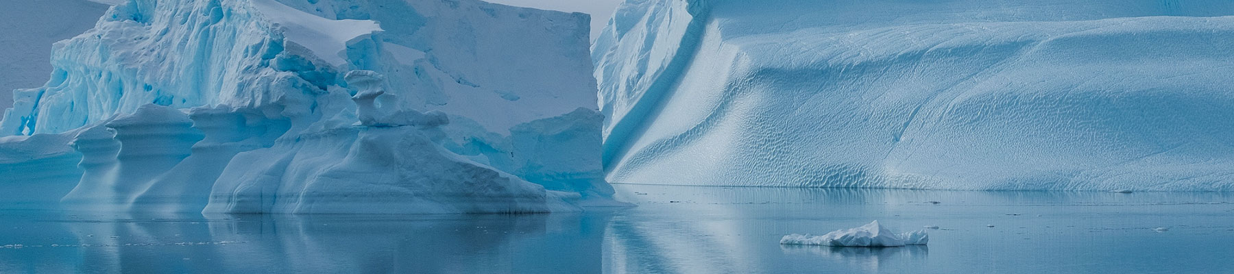 Why November and December is a Great Time to Visit Antarctica