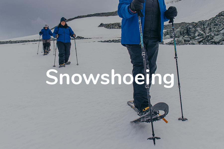  Snowshoe 