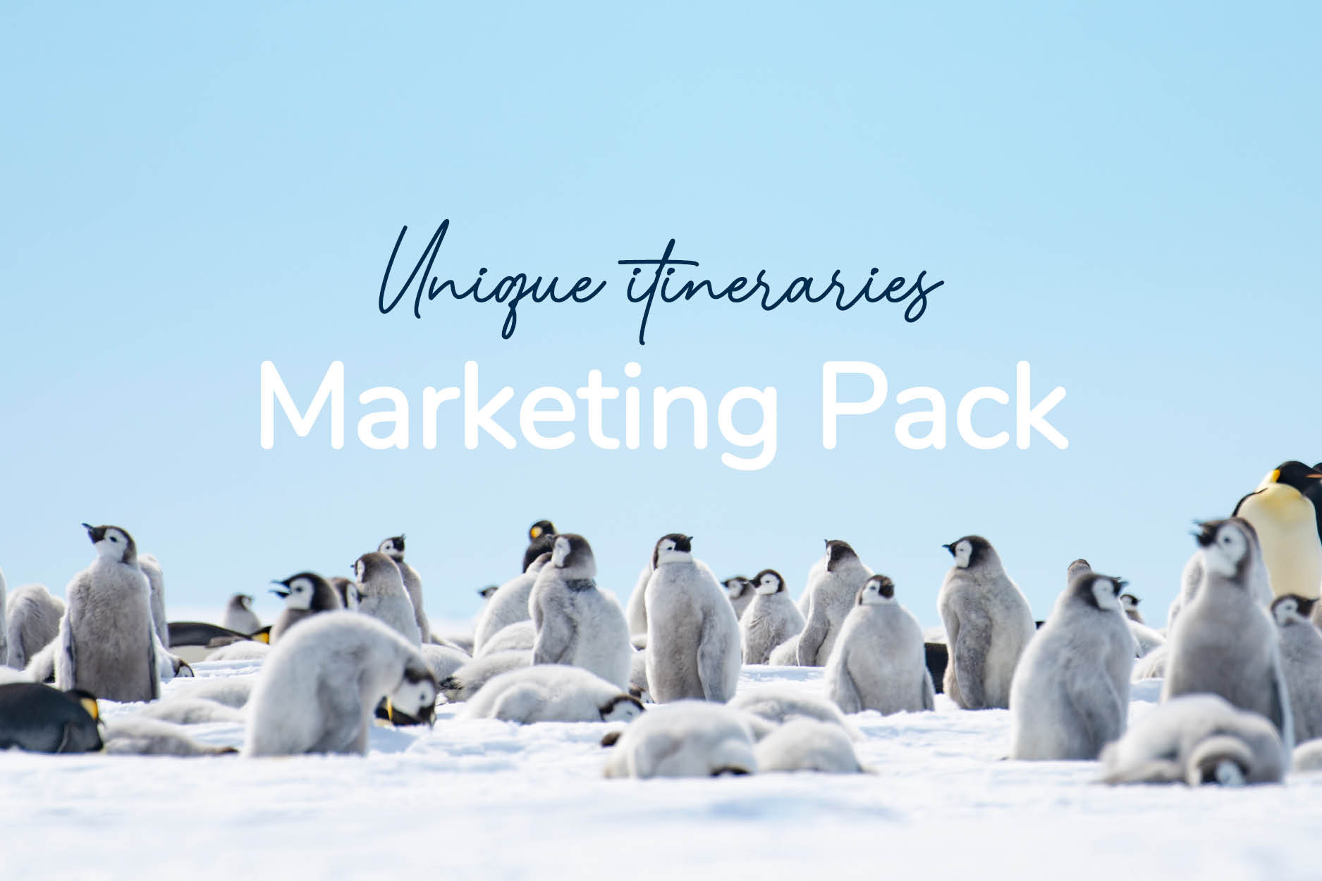  MDB_Marketing%20Pack 
