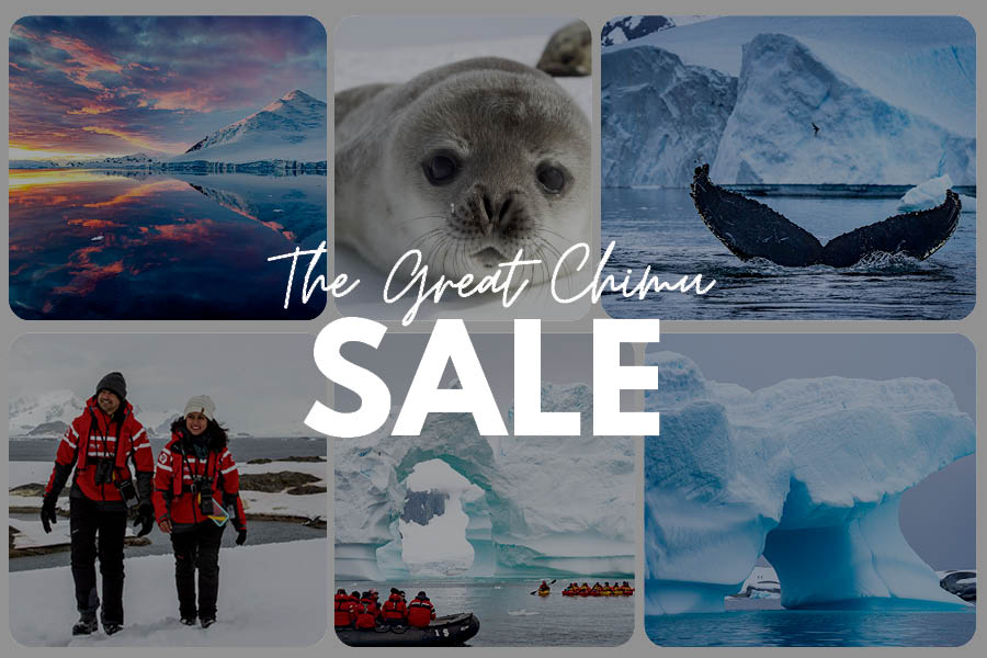  GCS-webbanner-Antarctica3_2 