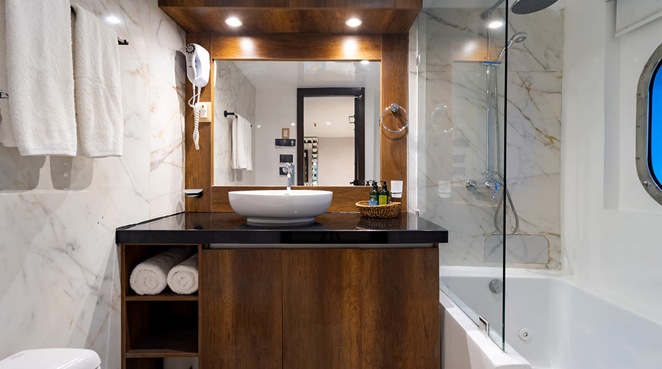 Grand Majestic Standard Cabin Bathroom Grand Majestic Standard Cabin Bathroom
