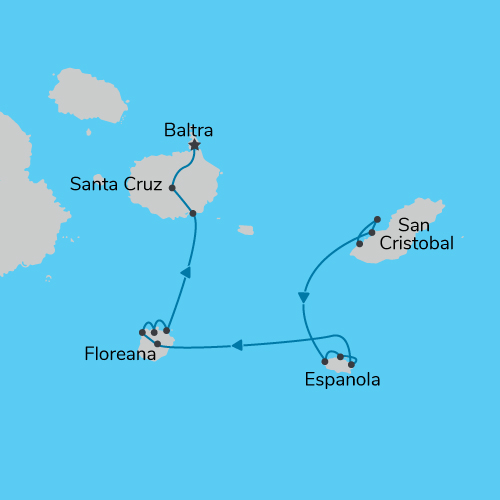 map map