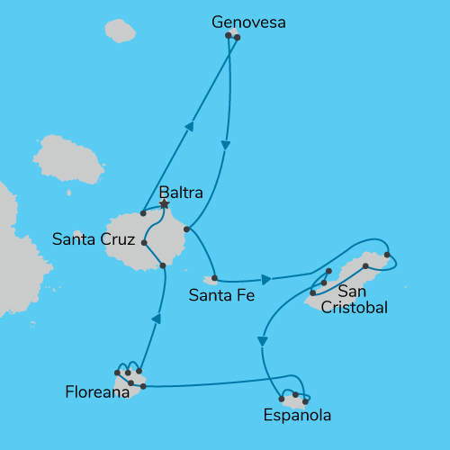 map map