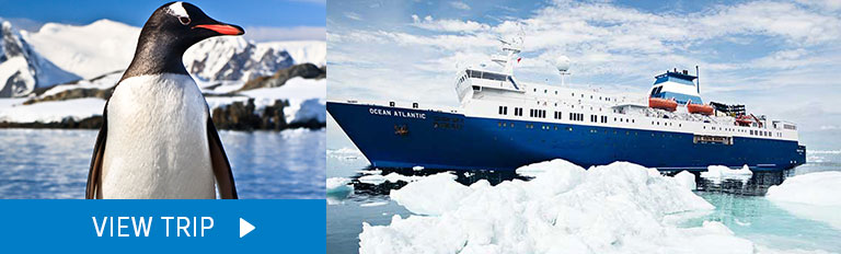 Join Campbell Remess for our charter Discover Antarctica departing February 2019