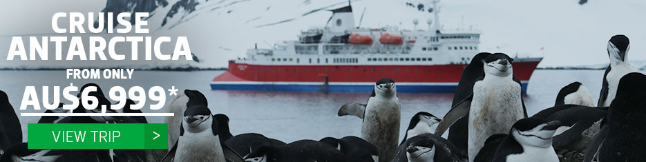 Cruise Antarctica aboard the MS Expedition from as little as AU$6,999*