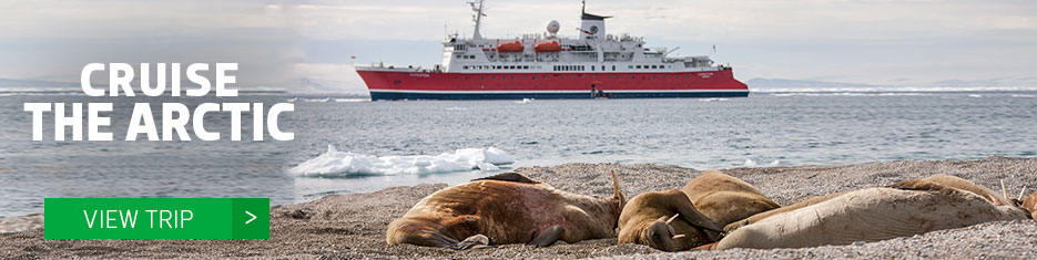 Cruise the Arctic aboard the MS Expedition