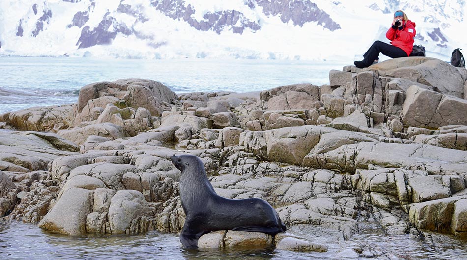 A person enjoys a quiet moment with a seal during an Antarctica expedition cruise