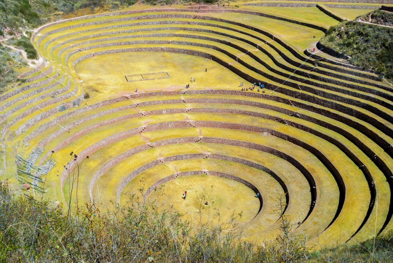 agricultural terraces in Peru