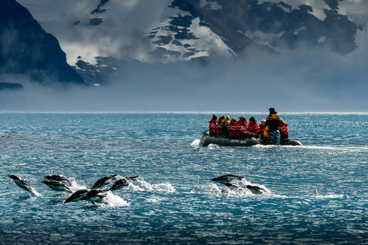 zodiac in Antarctica