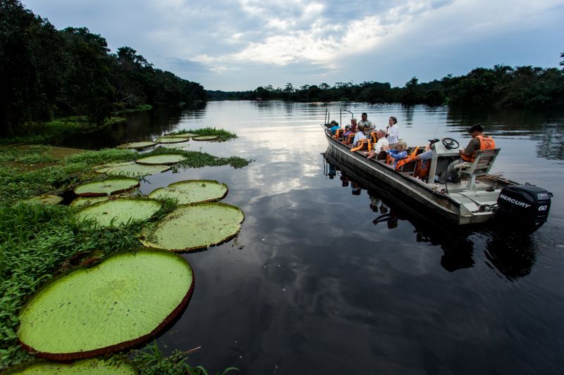 How to Choose the Best Amazon River Cruise | Chimu Adventures
