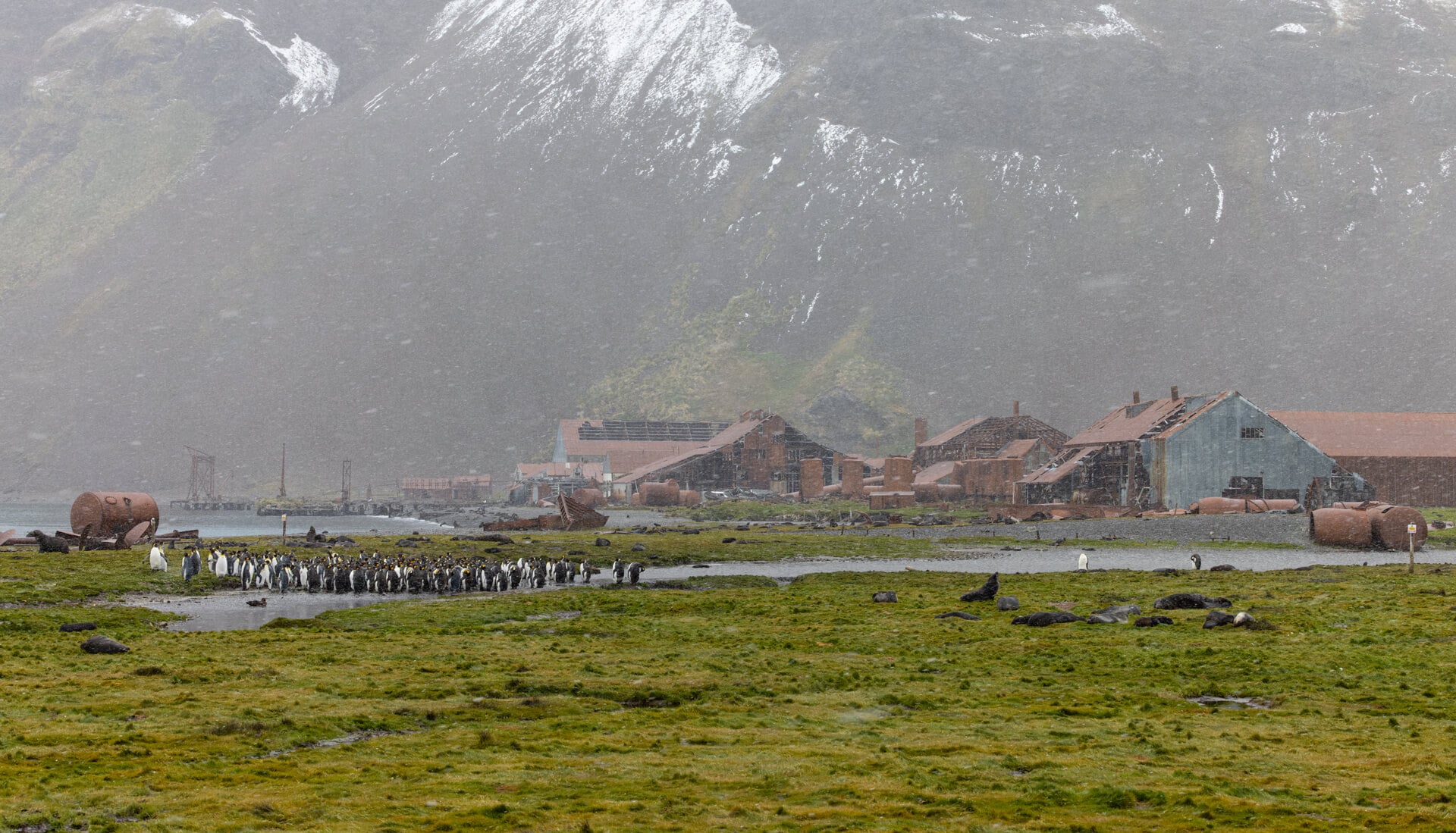 Stromness, South Georgia