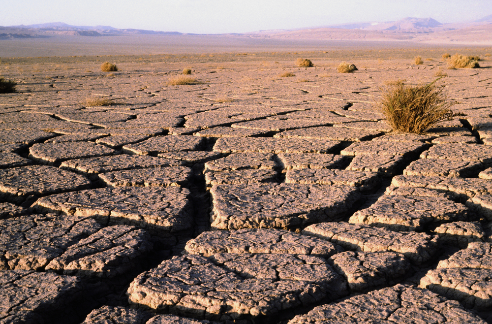 Cracks in the ground in the Atacama desert. Cracks in the ground in the Atacama desert.