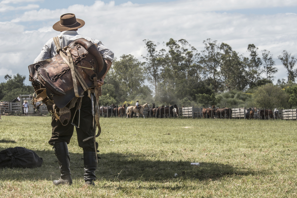 Gaucho in the Campo, Maldonado, Uruguay. Photo Credit: Shutterstock Gaucho in the Campo, Maldonado, Uruguay. Photo Credit: Shutterstock