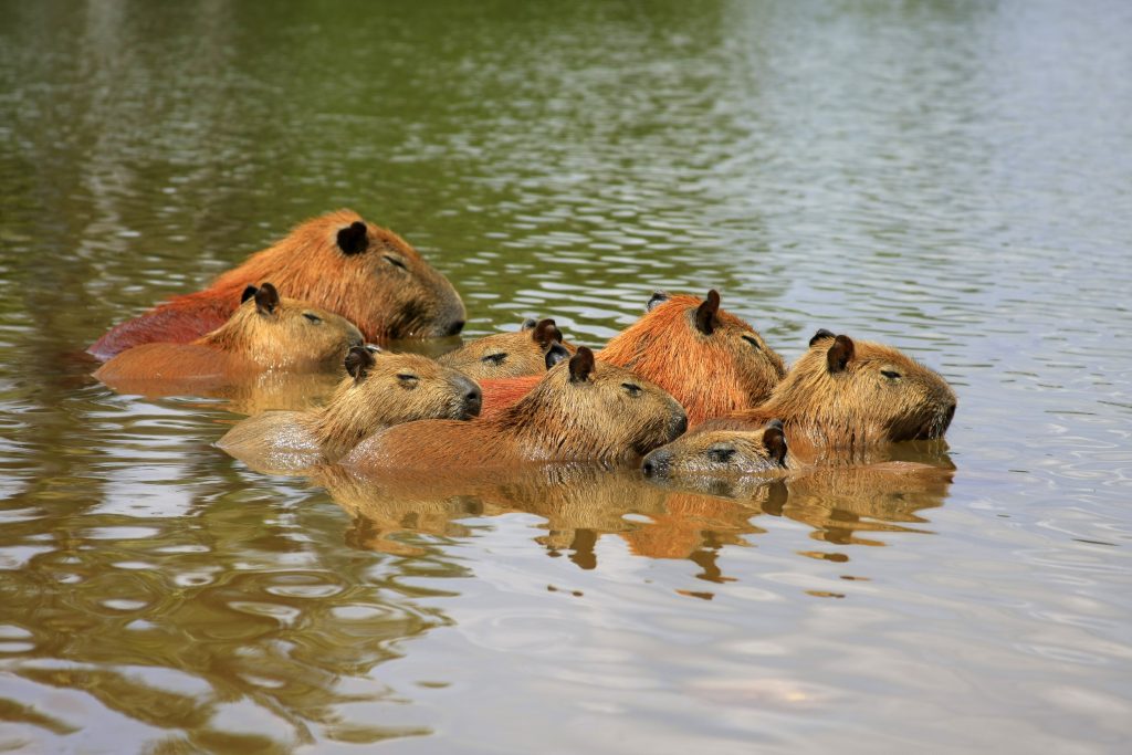 Sustainable tourism Sustainable tourism