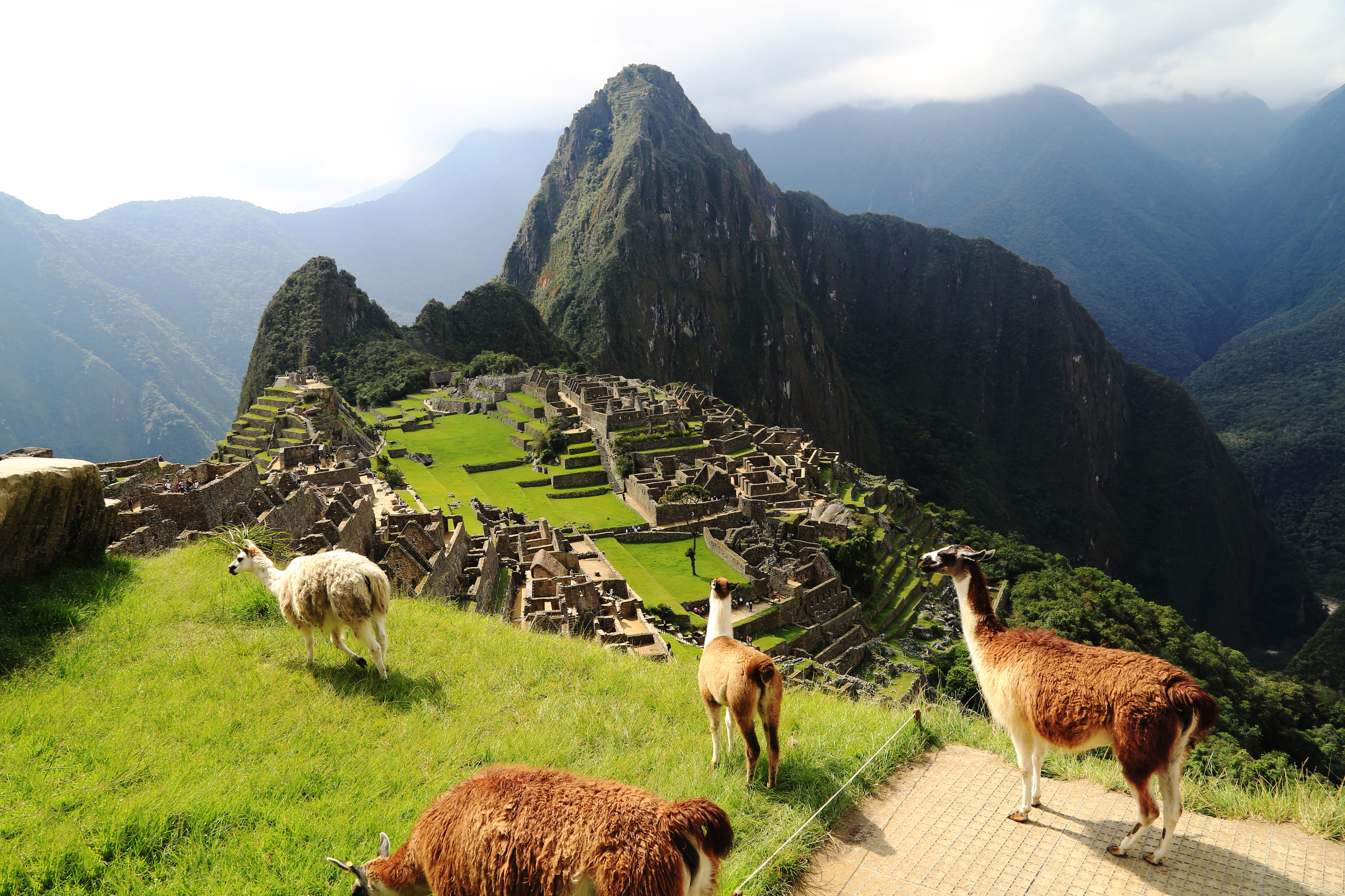 iconic views of Machu Picchu