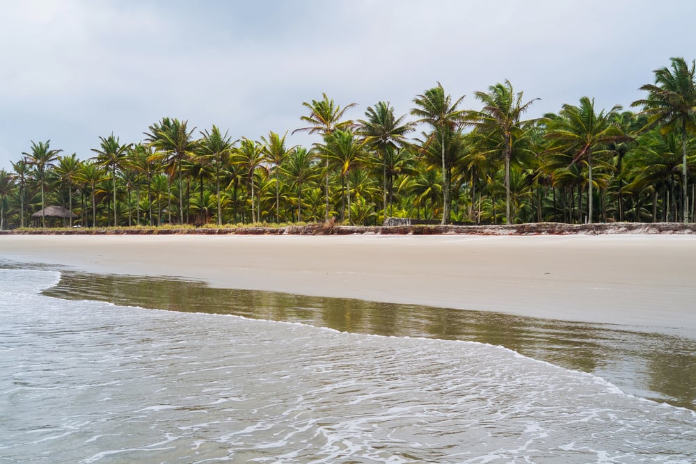 The beach of Mompiche in Ecuador.