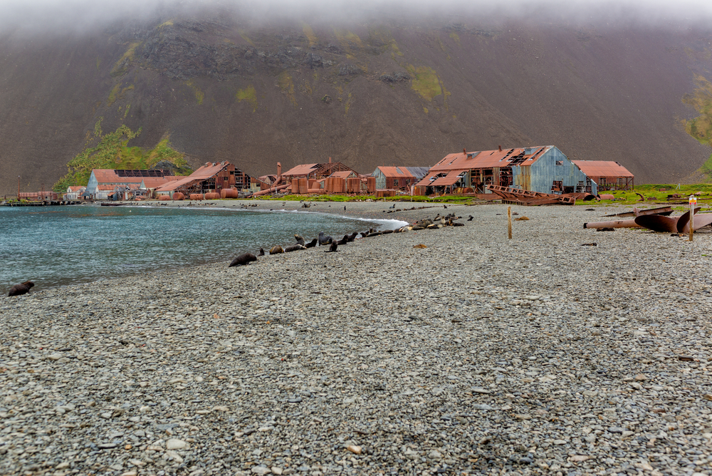 Abandoned whaling station on South Georgia. Abandoned whaling station on South Georgia.