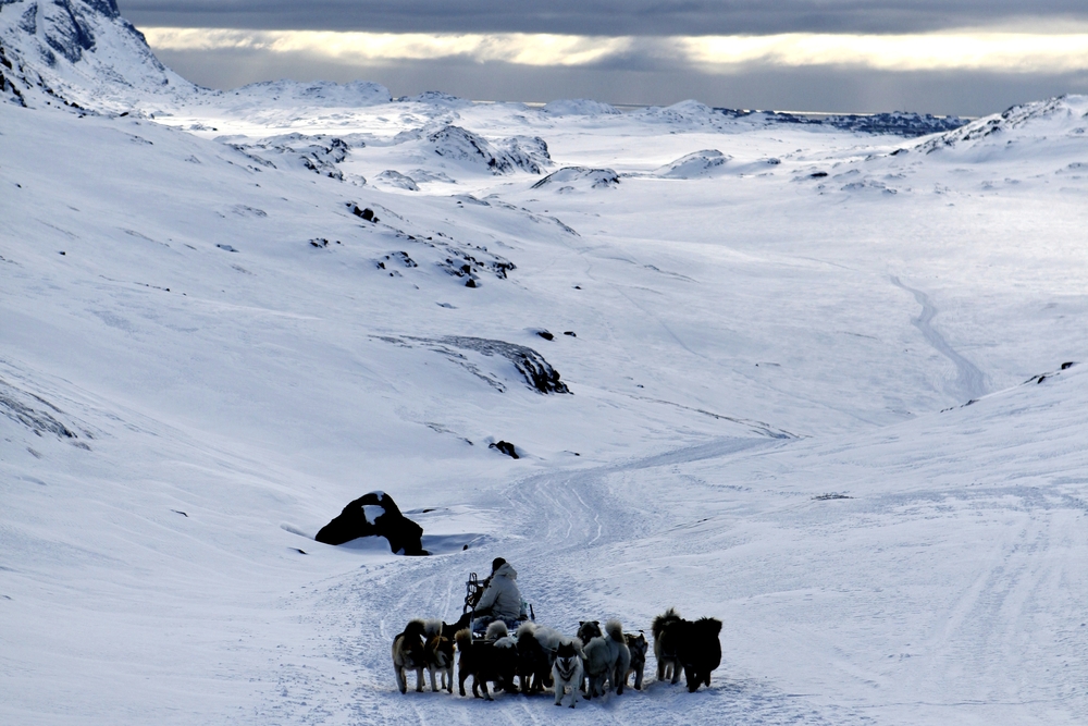dog sledding in Greenland