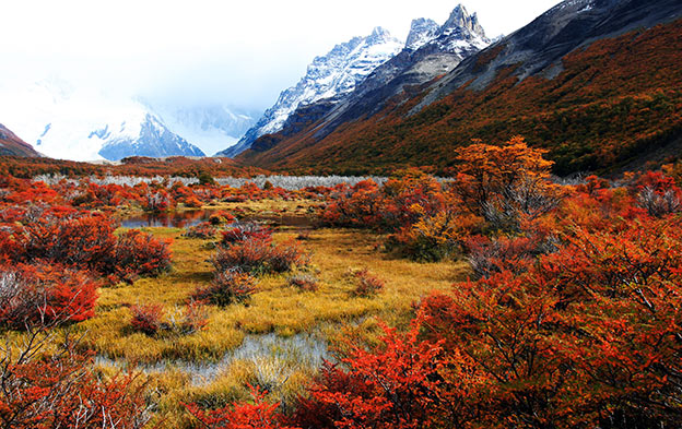 Autumn landscape in Patagonia