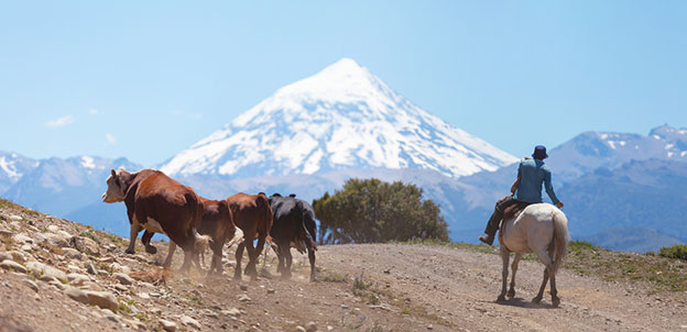 gauchos in Argentina