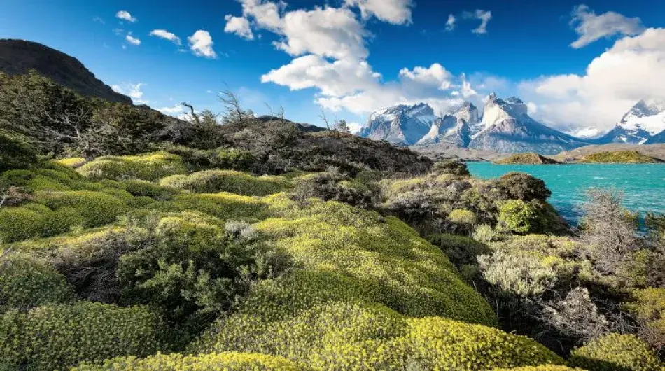 torres del Paine lagoon landscape