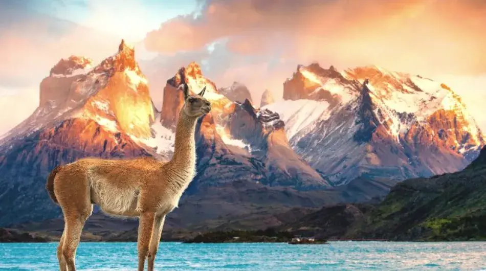 Torres del Paine sunset