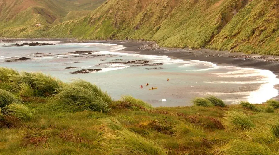 mholland_sea_kayaking_macquarie_island_3