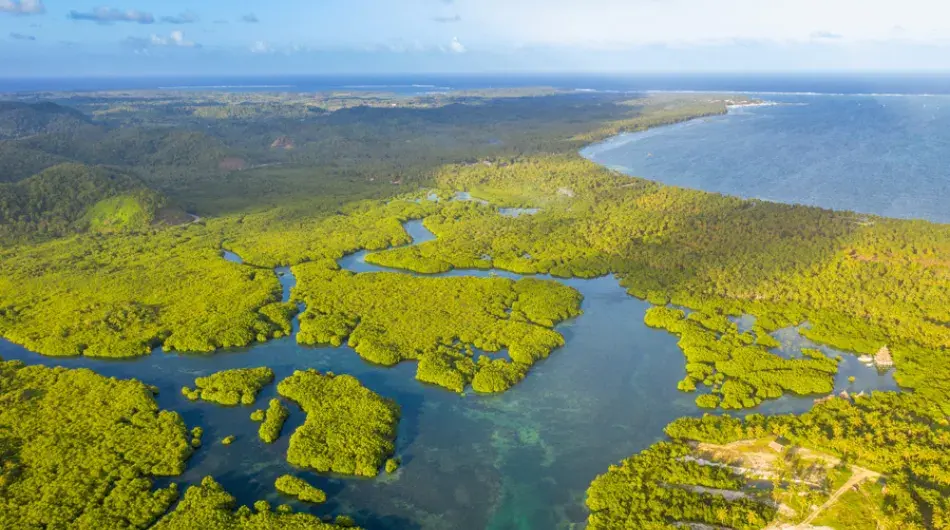 Anavilhanas national park aerial view