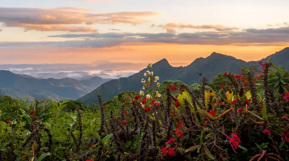 Bocaina national park