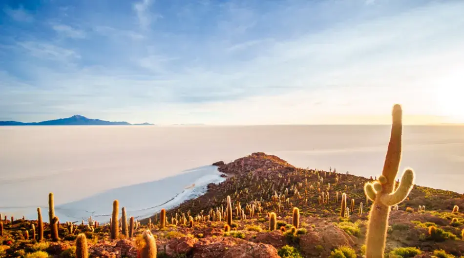 Bolivia Incahuasi island, Uyuni Salt Flats Bolivia