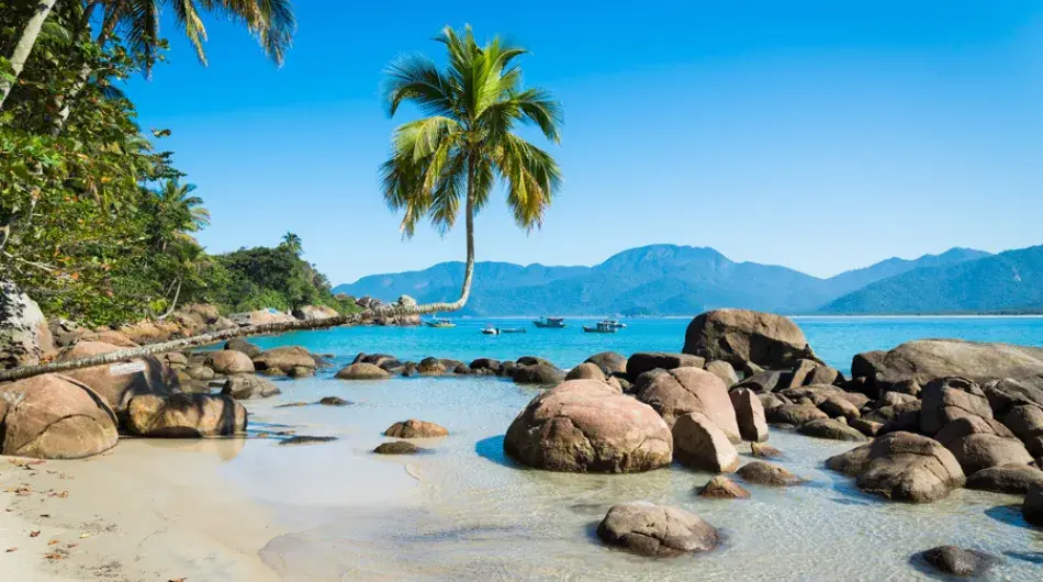 Ilha grande beach with rocks and palm tree
