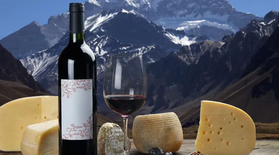 Wine tasting with cheese plate