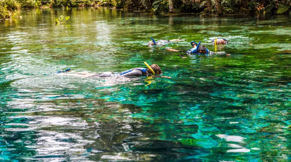 Tourists snorkeling in turquoise water river