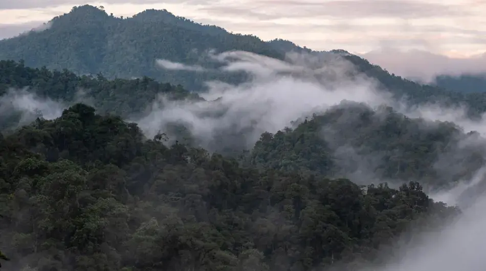 Mashpi national reserve cloud forest